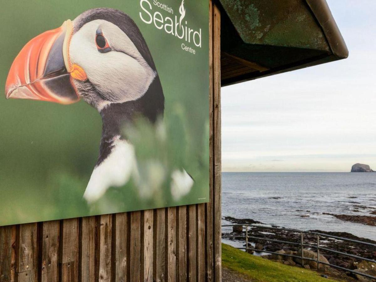 Benholm Lägenhet North Berwick Exteriör bild